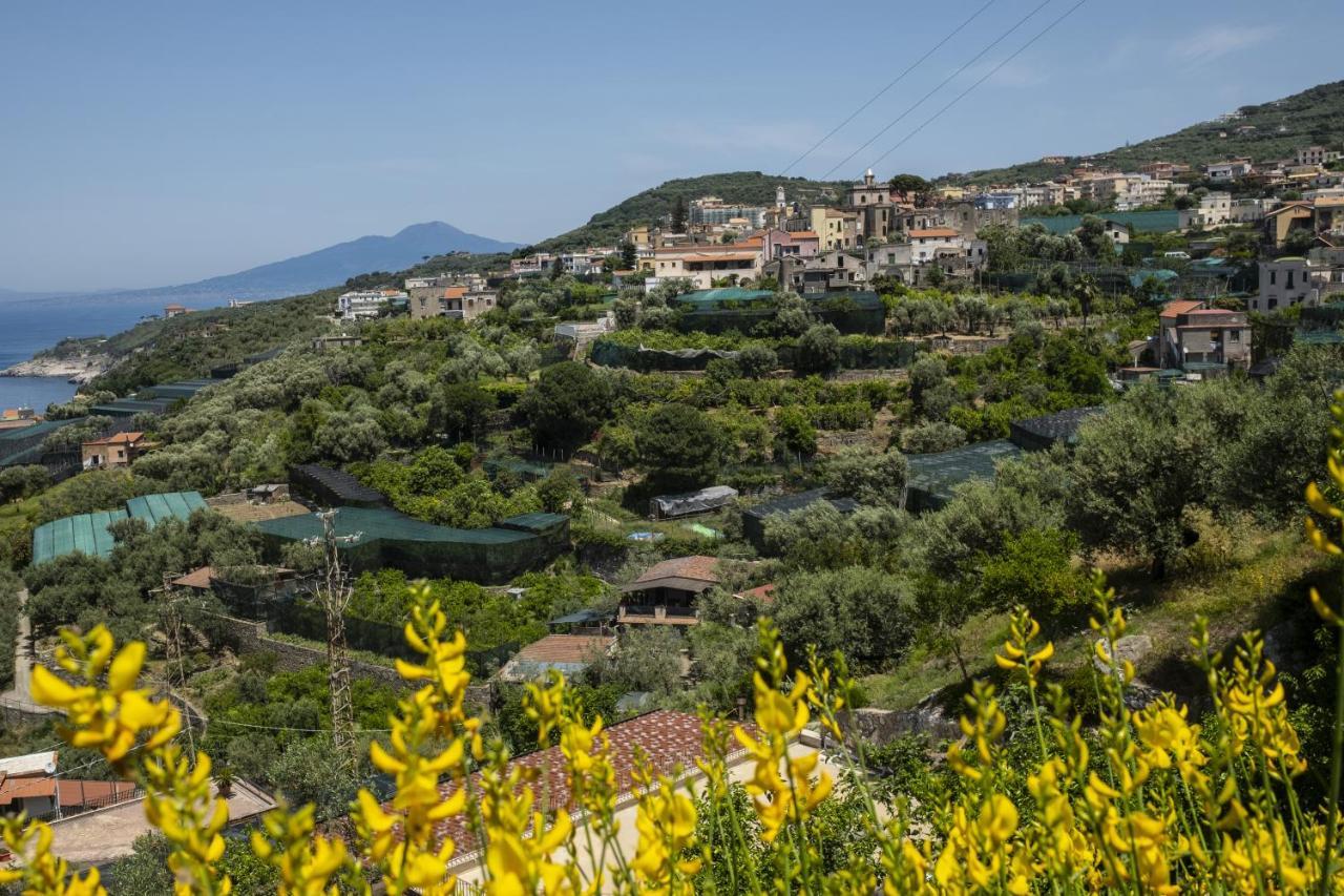Neva Suites Massa Lubrense Sorrento Coast Extérieur photo