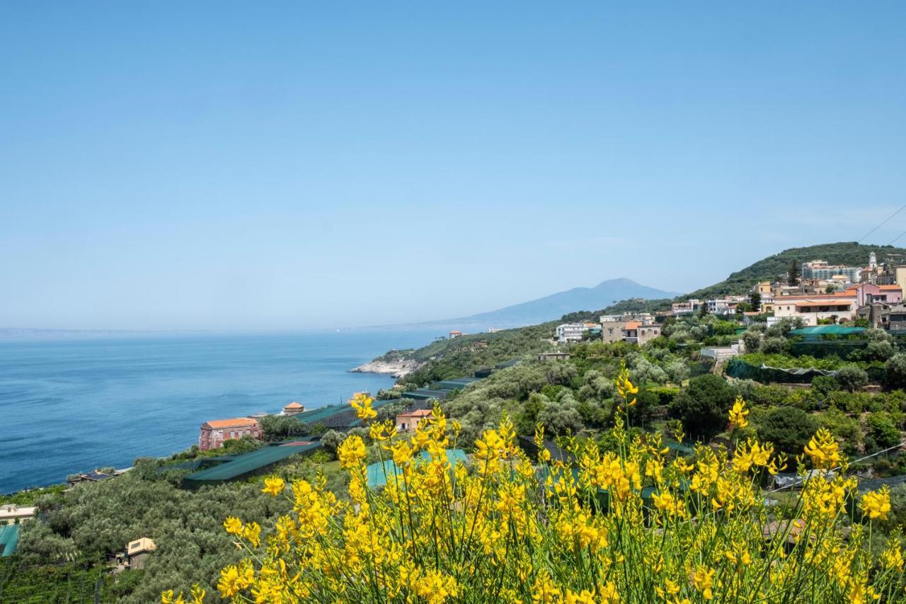 Neva Suites Massa Lubrense Sorrento Coast Extérieur photo